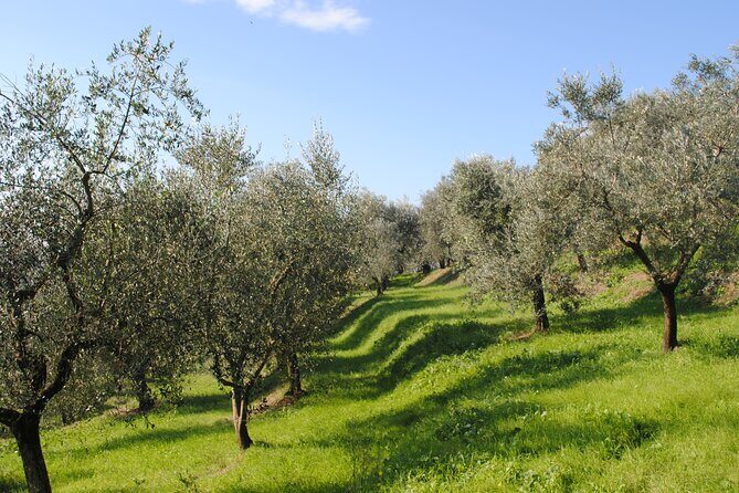 Afternoon Tour: Soap, Olive Oil & Wine Stories of Peza Village - Food and Timing: What You’ll Eat (and What You Still Need to Plan)