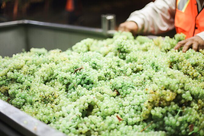 Afternoon Tour: Soap, Olive Oil & Wine Stories of Peza Village - Who This Tour Fits Best (and Who Might Prefer Something Else)