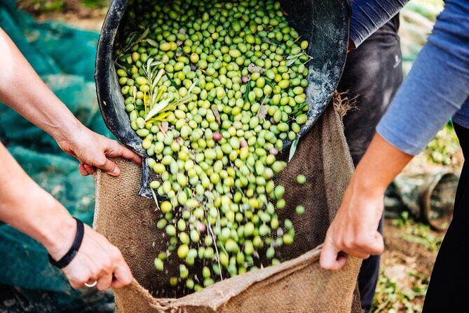 Afternoon Tour: Soap, Olive Oil & Wine Stories of Peza Village - Soap Workshop: Olive Oil, Local Herbs, and Your Take-Home Bar