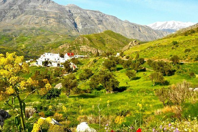 Authentic Crete Heart of the island - 8:00 am start: how to set yourself up for a good day