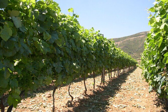 Chania 4x4 Sunset Safari Tour - Vatolakkos and the dam photo stop: countryside time with a purpose