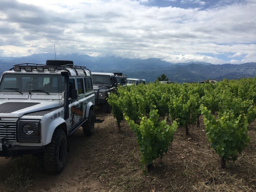 Chania 4x4 Sunset Safari Tour - Price and value: why $93 can make sense for this much ground covered