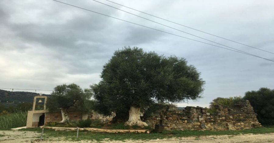 Chania Monasteries Private Tour: A Greek Orthodoxy Tribute - Key highlights