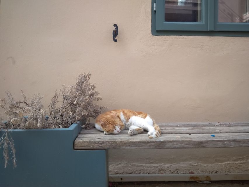 Chania Old Town: Artisans & Sightseeing Walking Tour - FAQ