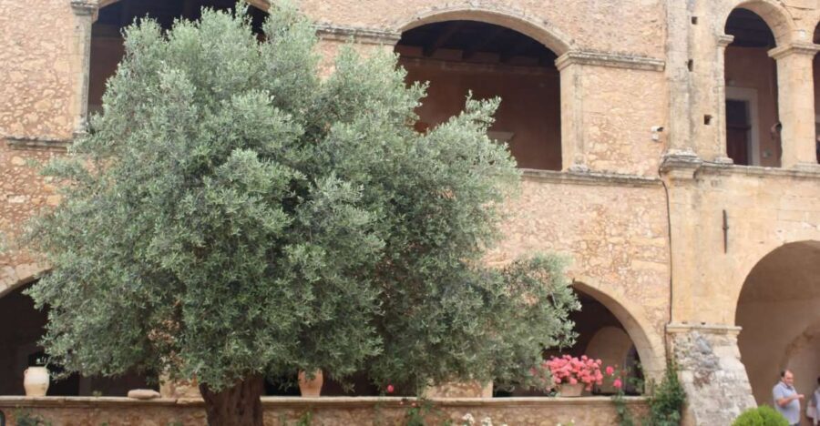 Chania Private Olive Oil Tour: Oil Tasting & Villages Tour - A 7.5-hour private route through Chania’s olive belt