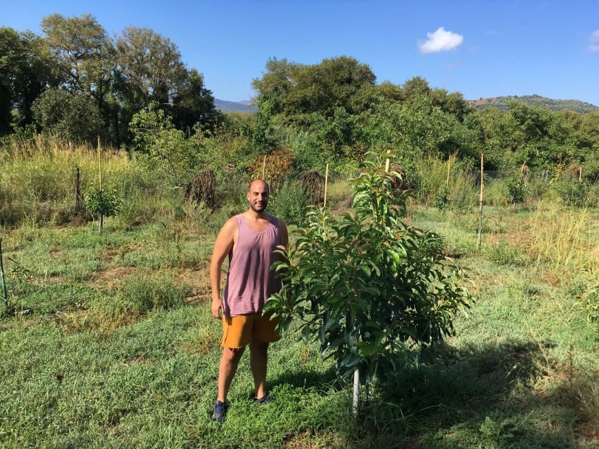 Chania Private Olive Oil Tour: Oil Tasting & Villages Tour - A note on guides: Apostolis and what people praise
