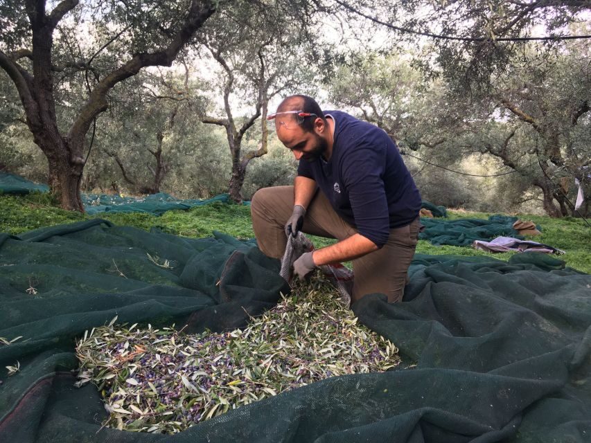 Chania Private Olive Oil Tour: Oil Tasting & Villages Tour - Village viewpoints and how the day sets up your olive oil tasting
