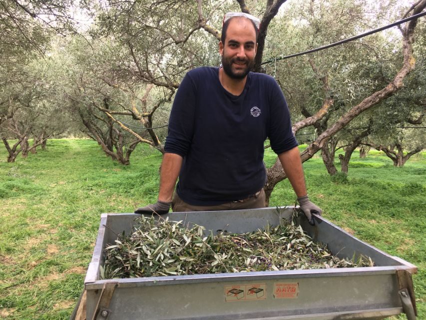 Chania Private Olive Oil Tour: Oil Tasting & Villages Tour - The free organic extra virgin olive oil and how to use it at home