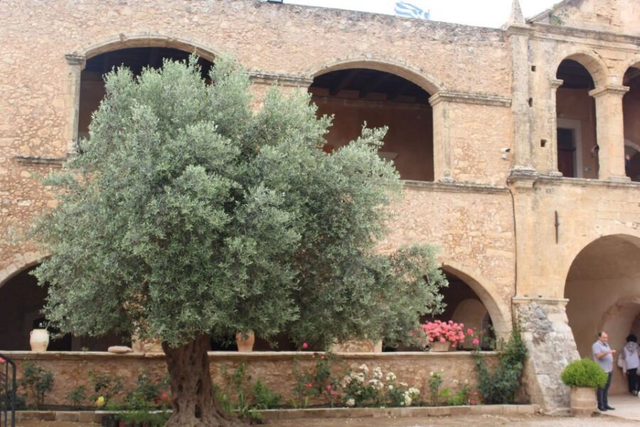 Chania Private Olive Oil Tour: Oil Tasting & Villages Tour - Bio and medieval oil mills: what you learn by comparing eras
