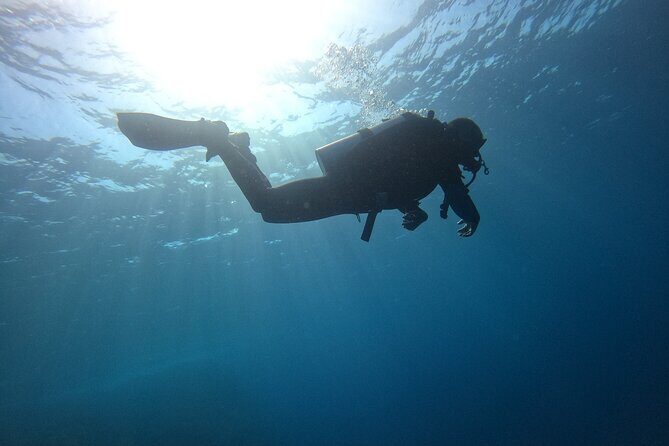 Chania Scuba Diving 2 Shore Dives(Receive Certification) - Second Shore Session: Another 45 Minutes Building Confidence Toward Certification