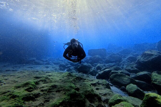 Chania Scuba Diving | Shore Dives | Certified Divers - Almyrida Start: Where the Day Really Begins