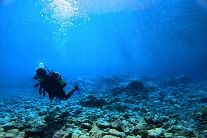 Chania Scuba Diving | Shore Dives | Certified Divers - The Underwater Site: A Sheltered Nursery for Sea Life