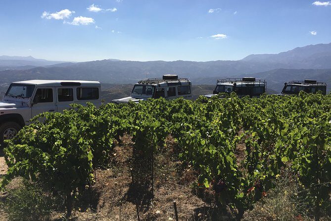Chania Shore Excursion Off Road Vineyard and Winery Tour Half Day - Manousakis Winery: guided walk plus serious tasting time