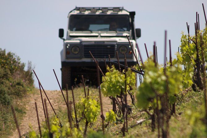 Chania Shore Excursion Off Road Vineyard and Winery Tour Half Day - Five wines, cheese pairing, and how to taste smarter