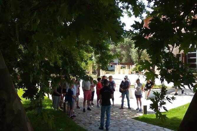 Chania Shore Excursion Off Road Vineyard and Winery Tour Half Day - Who should book this off-road vineyard and winery tour?