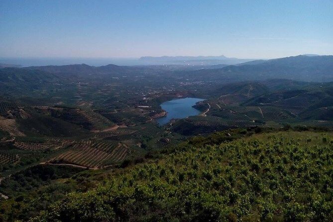 Chania Shore Excursion Off Road Vineyard and Winery Tour Half Day - A simple game plan for a smooth shore-day experience