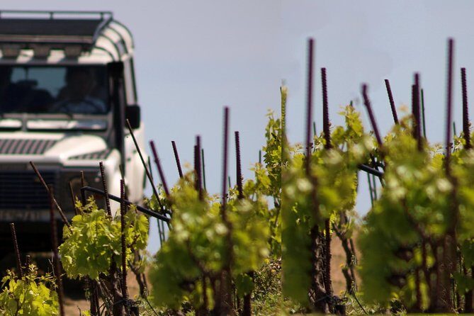 Chania Shore Excursion Off Road Vineyard and Winery Tour Half Day - The off-road ride: thrilling views, real road vibrations
