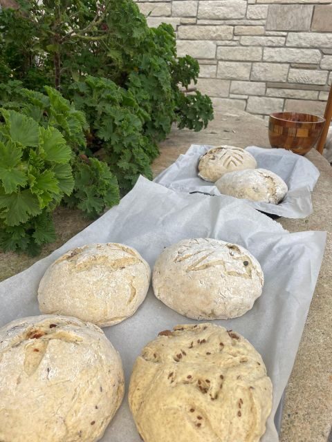 Chania Sourdough Bread Class - Olive Oil Tasting - Price and value: is $106 fair for 4.5 hours?