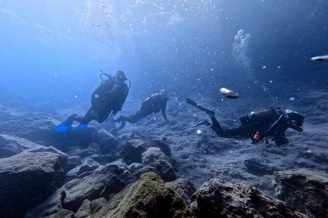 Chania | Try Scuba Diving | Introduction Dive - Why Almyrida is such a smart place to try scuba
