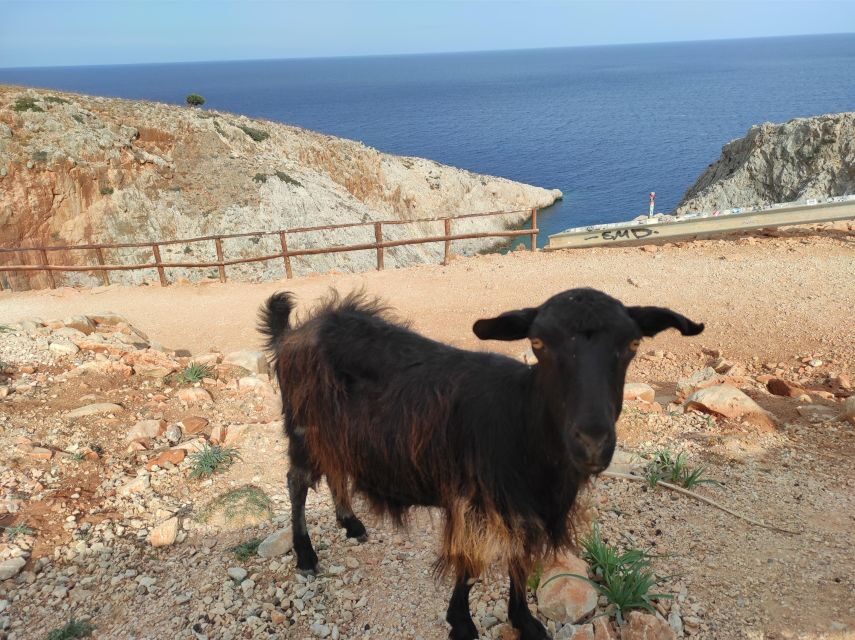 Chania Villages Private Tour: Explore the Authentic Crete! - White Mountains inland driving: the scenery turns serious