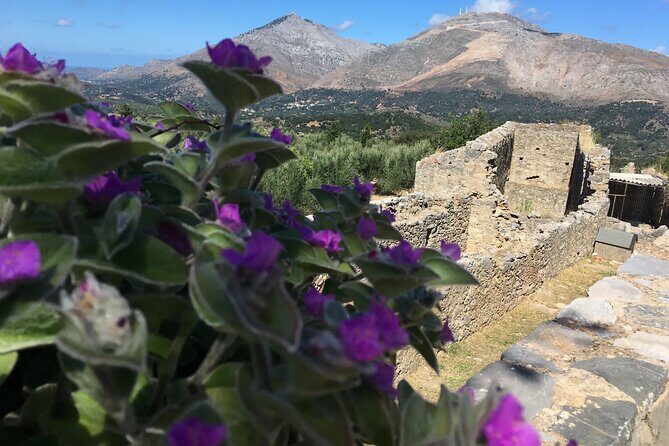 Chania White Mountains Private Tour: From Sea to Summit - Key highlights I’d put on your shortlist