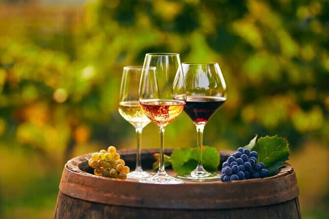 Cheese and Wine Tasting Tour From Chania - Ano Vouves: the world’s oldest recorded olive tree (and what to look for)
