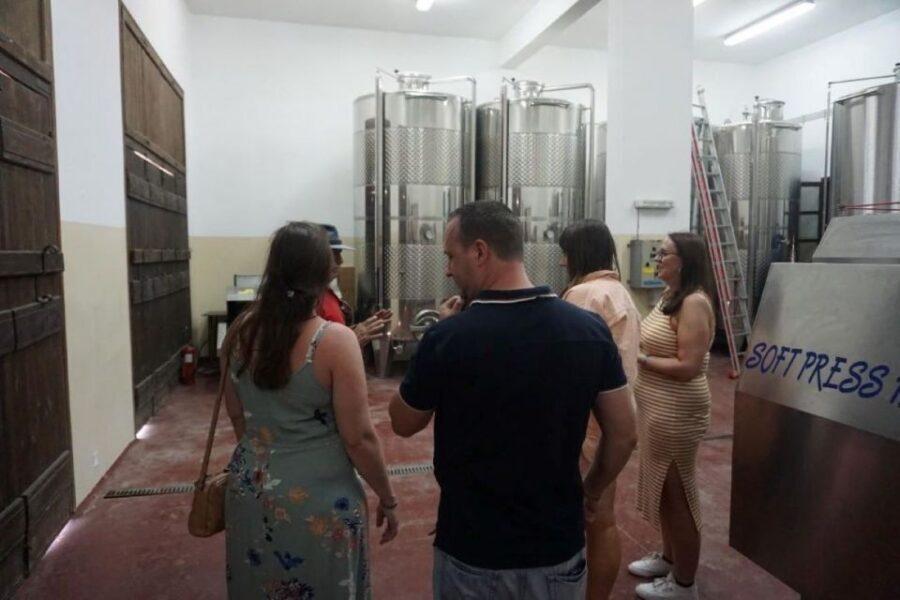 Crete: Full-Day Cretan Wines, Olive Oil, Raki and Food Tour - Olive grove and olive mill: the freshest oil lesson you’ll take home