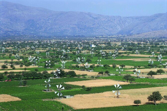 Crete in a Day: Knossos, Soap Workshops, Olive Oil & Wine Tasting - Who This Tour Fits Best