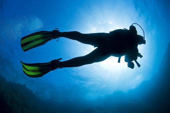 Crete Introductory Scuba Diving Experience - Price and value: is $96.13 worth it?
