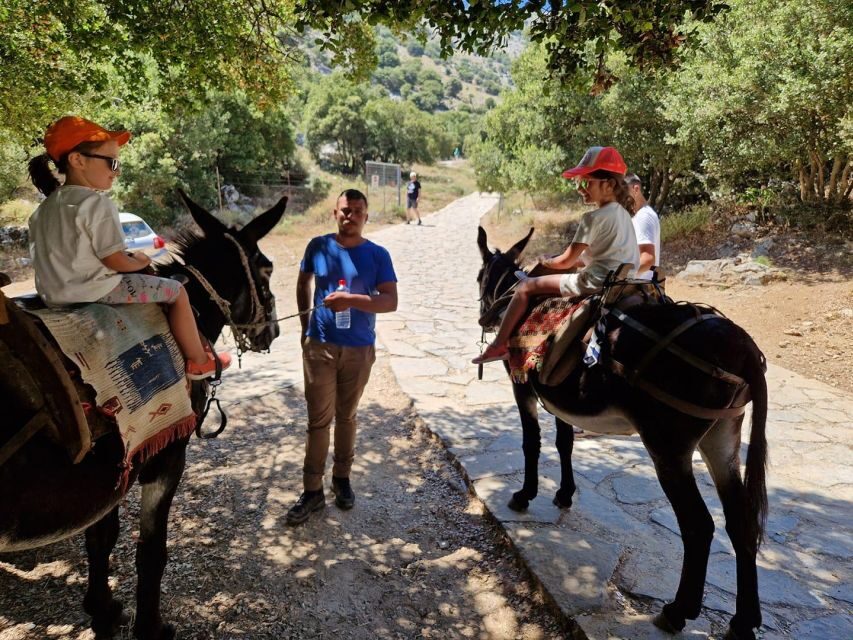 Crete: Lasithi Plateau Zeus Cave Guided Jeep Safari Tour - Up to Lasithi Plateau (around 1,150 meters): the jeep part you’ll remember