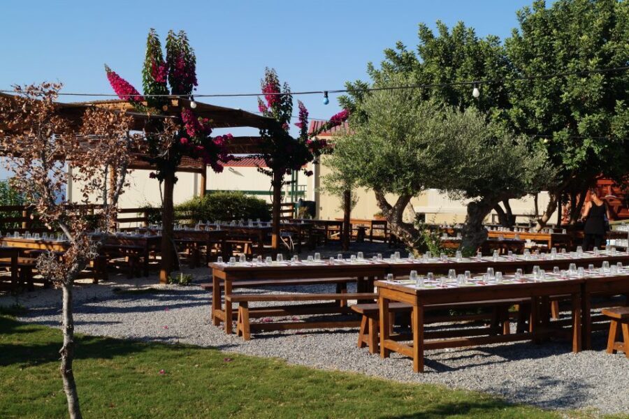 Crete: Olive Oil Factory Tour, Dinner & Traditional Dancing - My booking verdict: should you go?