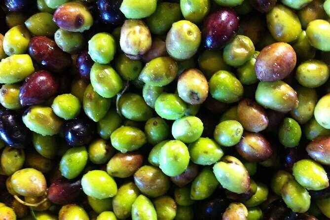 Crete: Olive Oil, Soap, Wine, Raki - Flavorful Culinary Journey - Handmade soap workshop: the surprising olive oil to beauty connection