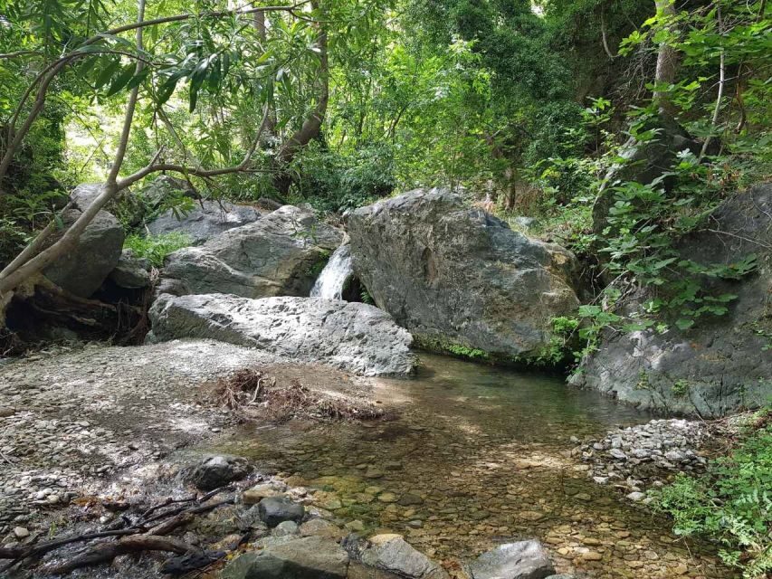 Crete: Richtis Waterfall Full-Day Tour with Olive Tasting - Price and value: is $111 worth a full day of 4x4, swim time, and lunch?