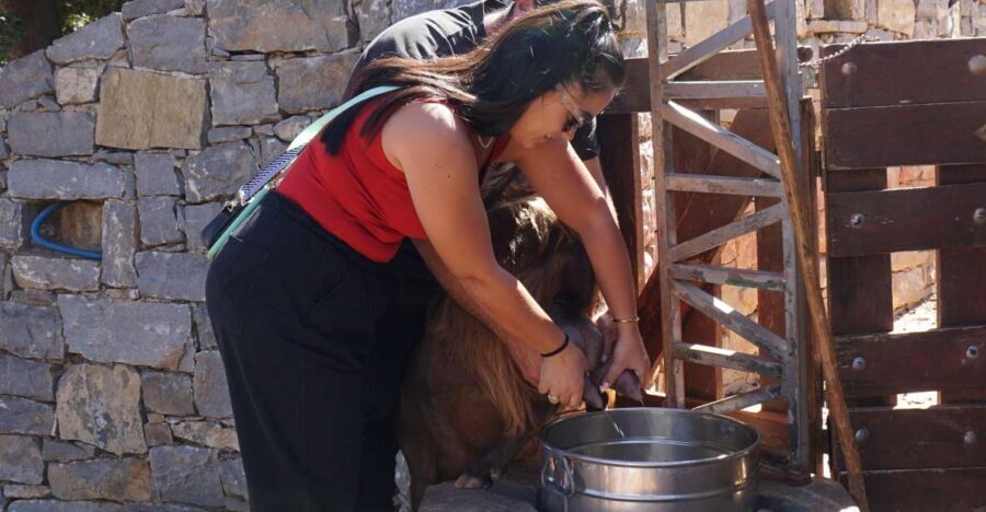 Crete: Shepherd’s Life & Psiloritis Mountain Tour with Meal - A 7-hour Psiloritis Day Trip That Feels Like Real Life