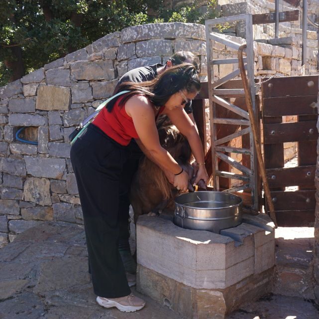 Crete: Shepherd’s Life & Psiloritis Mountain Tour with Meal - Antikristo Lamp Lunch, Wine, and Local Tastings