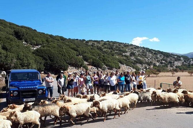 Crete: Tripitis Gorge South Crete Guided Jeep Safari - Patsides: honey, olive oil, and herbs you can actually taste