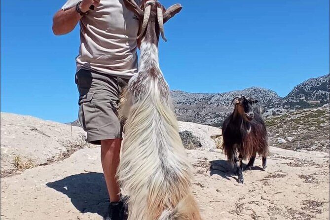 Crete: Tripitis Gorge South Crete Guided Jeep Safari - Lunch in Loukia-Vasiliki: traditional tavern food with wine