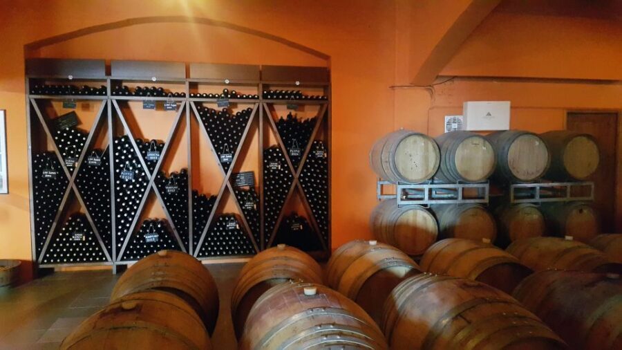 Discover Taste of Crete: Guided Winery Tour and Tastings - Who this tour suits best (and who might want a different option)