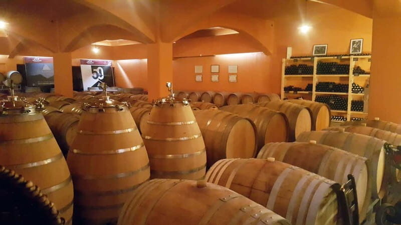 Discover Taste of Crete: Guided Winery Tour and Tastings - Tips to make your tasting day smoother (and more enjoyable)