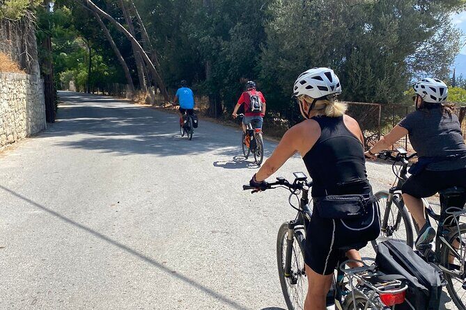 E-Bike Tour with Wine Tasting in Dafnes, Heraklion - Key highlights worth planning around