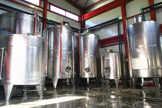 Explore the Secrets of Wine and Olives - Karavitakis Winery: Wine Tastings with a Crete-Story Theme