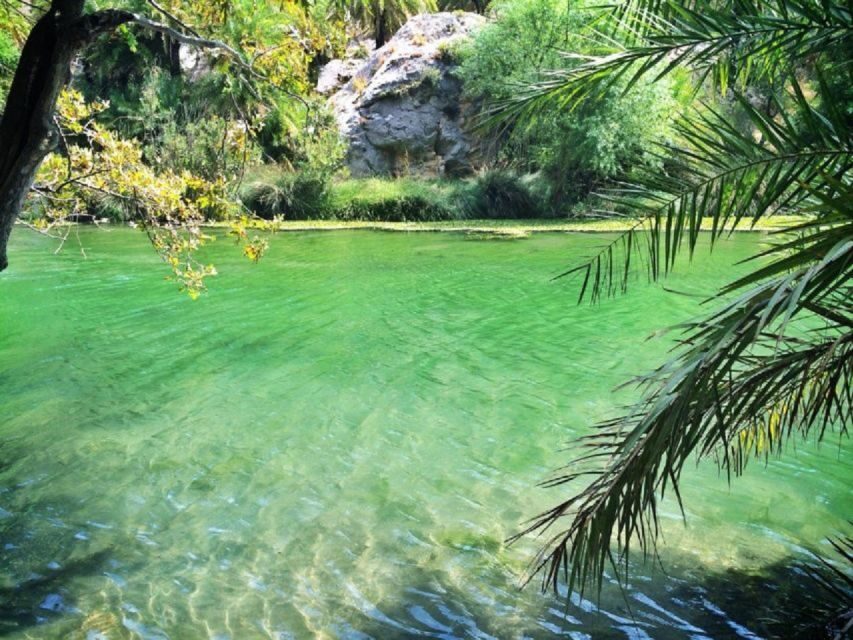 From Chania: Day Trip to Preveli Palm Beach - Should you book this Chania to Preveli day trip?