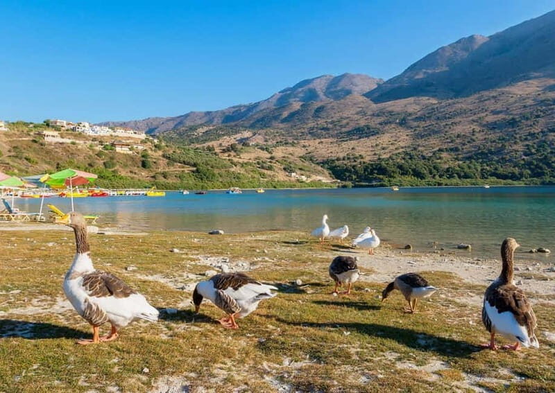 From Chania: Lake Kournas & Argiroupoli Springs Guided Tour - Lappa village on foot: viewpoints, old stones, and a pleasant walking route