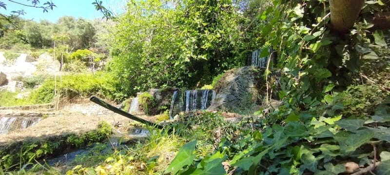 From Chania: Lake Kournas & Argiroupoli Springs Guided Tour - Argiroupoli Springs: cool mountain water and flexible time for lunch or a stroll