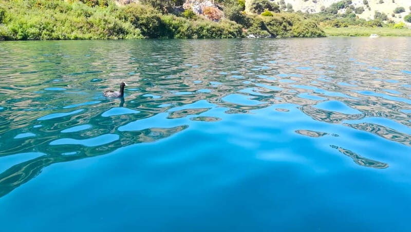 From Chania: Lake Kournas & Argiroupoli Springs Guided Tour - Lake Kournas: the easy swim-and-café stop (and what 90 minutes means)