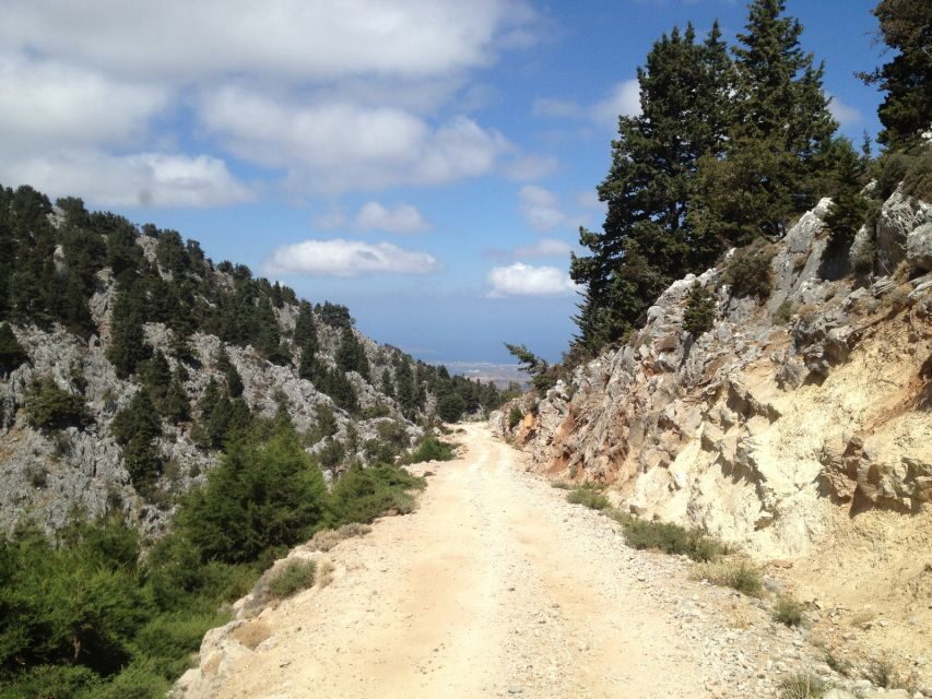 From Chania: White Mountains Land Rover Safari - Therisso gorge and the family tavern produce stop on the way back