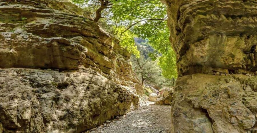 From Heraklion: Imbros Gorge and Libyan Sea Guided Day Trip - Libyan Sea Swim and Greek Lunch: A Simple Finish That Feels Worth It