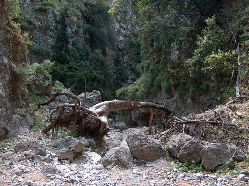 From Heraklion: Imbros Gorge and Libyan Sea Guided Day Trip - Should You Book the Imbros Gorge and Libyan Sea Day Trip?