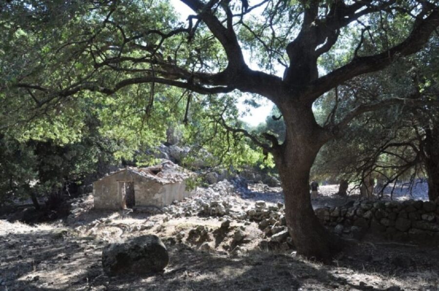 From Rethymno/Chania: Imbros Gorge Hike - Lunch and sea time in Chora Sfakion: the part you’ll actually linger over