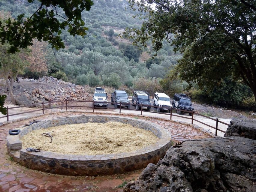 From Rethymno: Off-Road Vehicle Safari with Lunch - Klados Winery in Panormos: wine tasting with real grape context